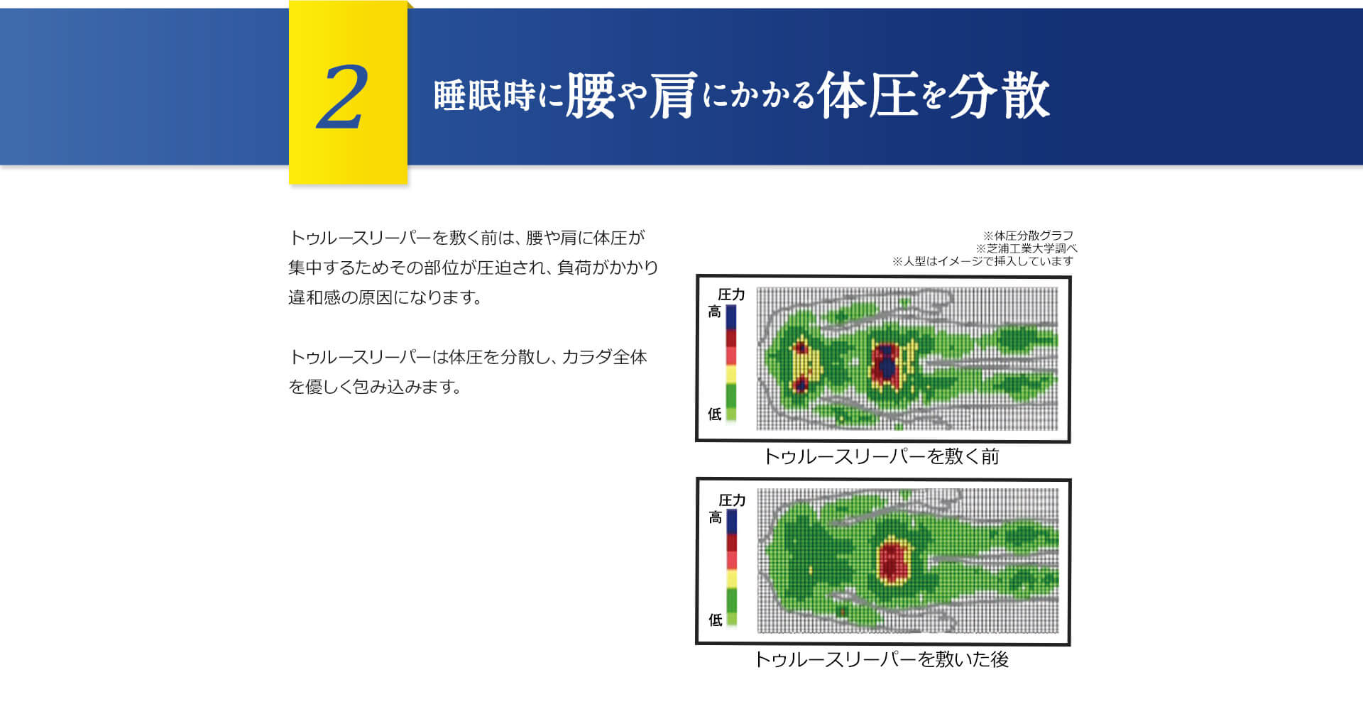 2 睡眠時に腰や肩にかかる体圧を分散 トゥルースリーパーを敷く前は、腰や肩に体圧が集中するためその部位が圧迫され、負荷がかかり違和感の原因になります。トゥルースリーパーは体圧を分散し、カラダ全体を優しく包み込みます。 ※体圧分散グラフ ※芝浦工業大学調べ ※人型はイメージで挿入しています トゥルースリーパーを敷く前 トゥルースリーパーを敷いた後