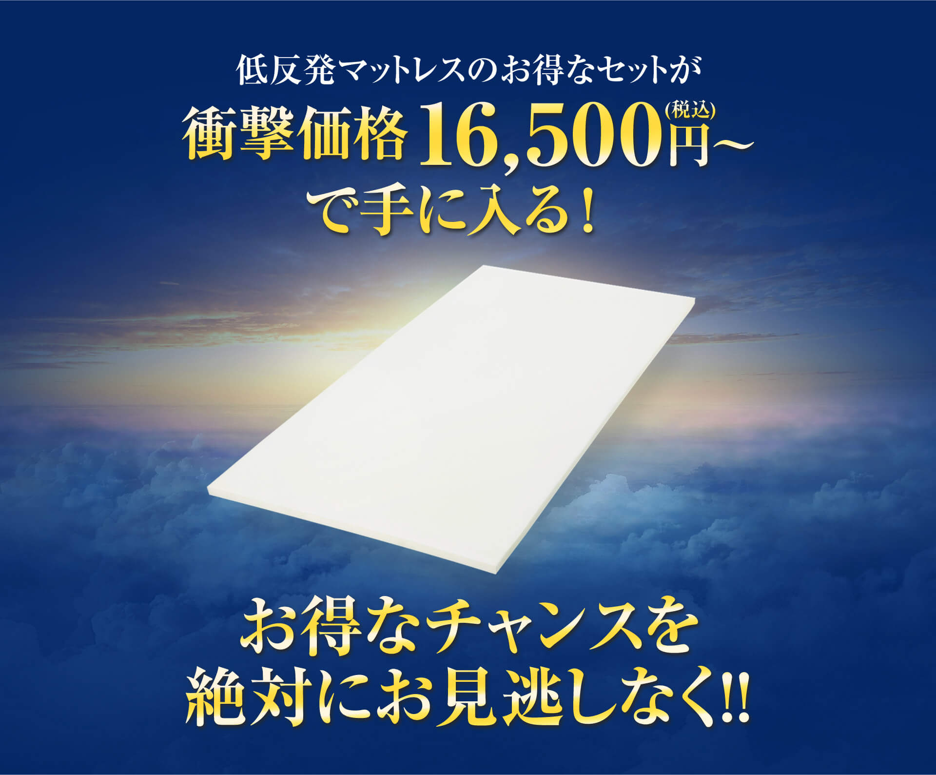 税込)ショップジャパン トゥルースリーパー 20周年 大感謝セット