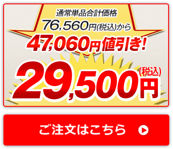 通常単品合計価格76,560円（税込）から47,060円値引き！29,500円（税込） ご注文はこちら