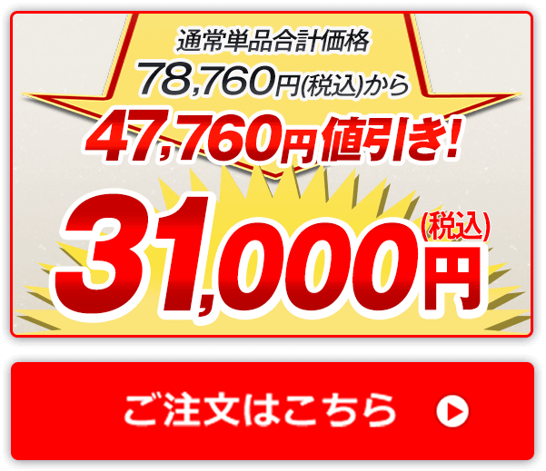 通常単品合計価格78,760円（税込）から47,760円値引き！31,000円（税込） ご注文はこちら