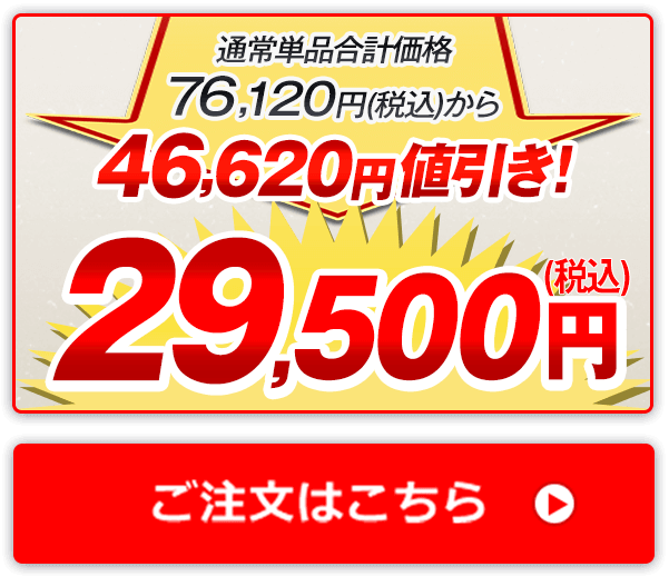 通常単品合計価格76,120円（税込）から46,620円値引き！29,500円（税込） ご注文はこちら