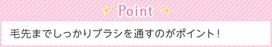 Point 毛先までしっかりブラシを通すのがポイント！