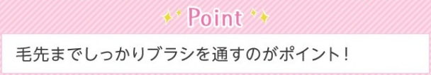 Point 毛先までしっかりブラシを通すのがポイント！