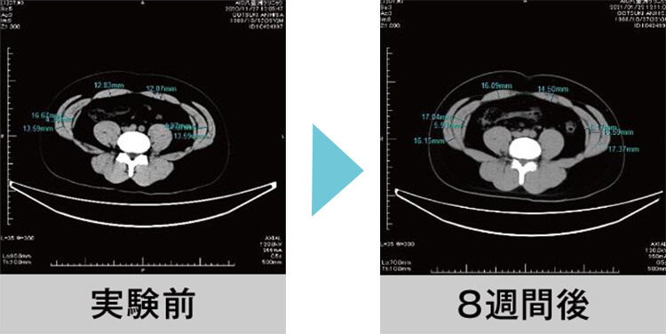 実験前 8週間後