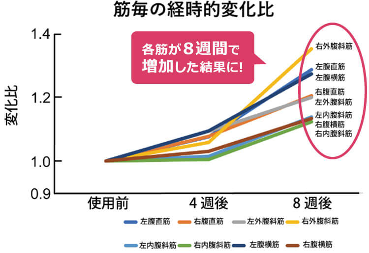 筋毎の経時的変化比 各筋が8週間で増加した結果に！