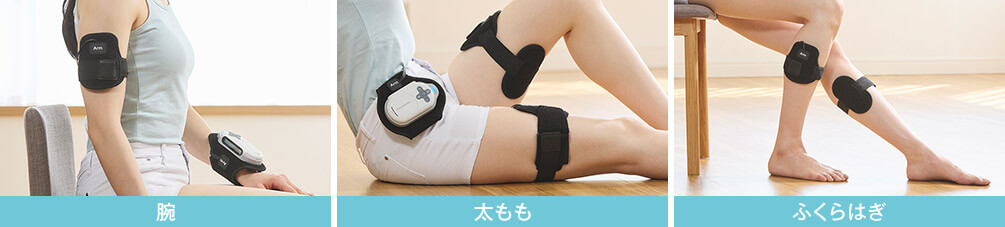 腕 太もも ふくらはぎ