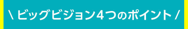 ビッグビジョン4つのポイント