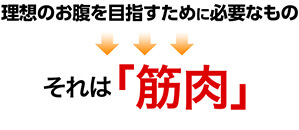 理想のお腹を目指すために必要なもの それは「筋肉」