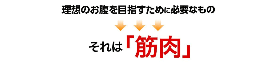 理想のお腹を目指すために必要なもの それは「筋肉」