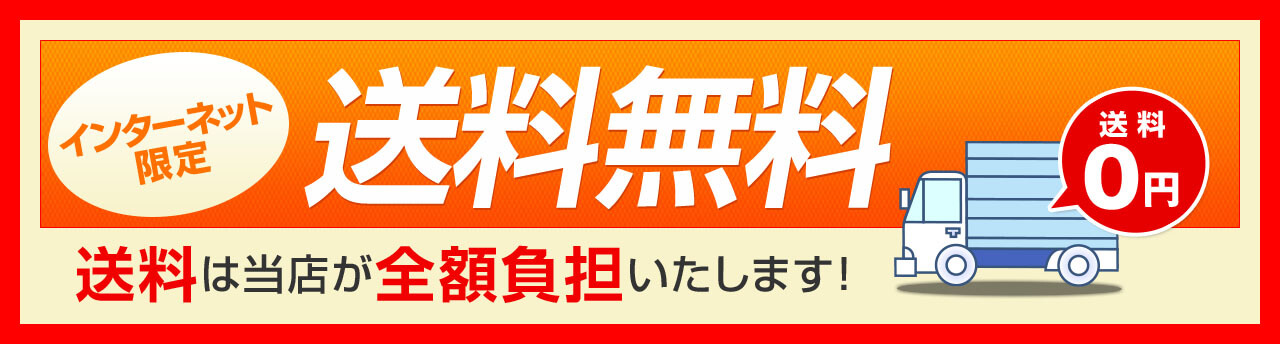 インターネット限定 送料無料 送料は当店が全額負担いたします!