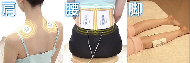 肩 腰 脚