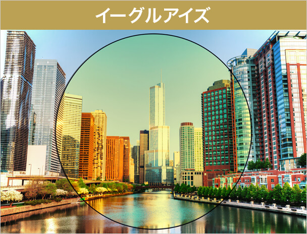 イーグルアイズ