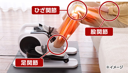 ひざ関節 股関節 足関節