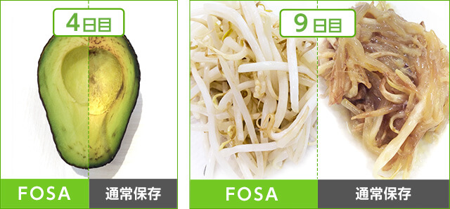 4日目 FOSA 通常保存 9日目 FOSA 通常保存