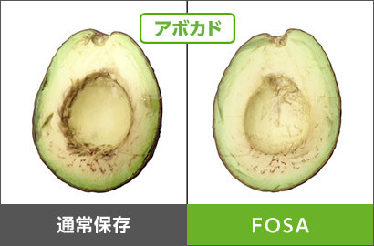 アボカド 通常保存 FOSA