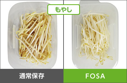 もやし 通常保存 FOSA