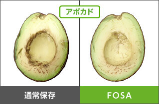 アボカド 通常保存 FOSA