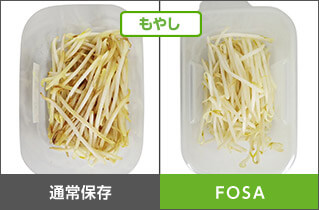 もやし 通常保存 FOSA