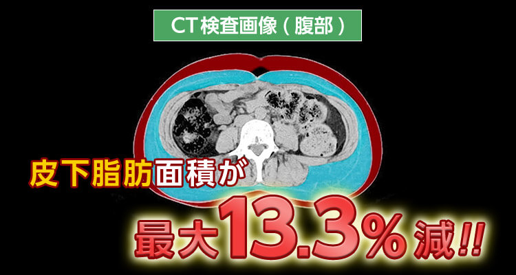 フィットカーブ｜ショップジャパン【公式】テレビショッピング・通販｜腹筋マシン