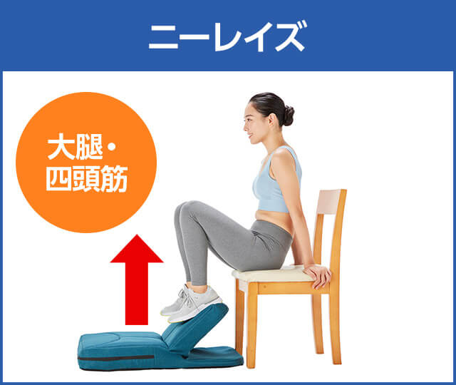 ニーレイズ 大腿・四頭筋