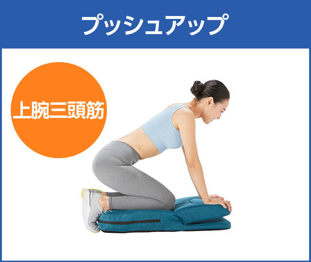 プッシュアップ 上腕三頭筋