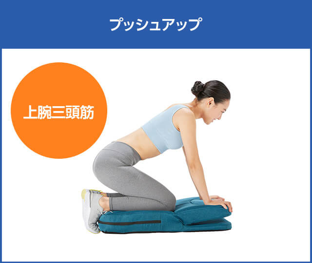 プッシュアップ 上腕三頭筋