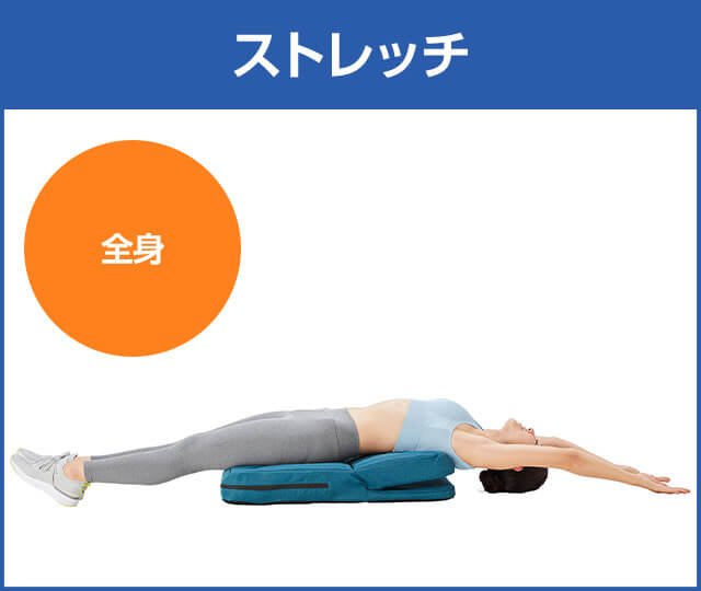 ストレッチ 全身