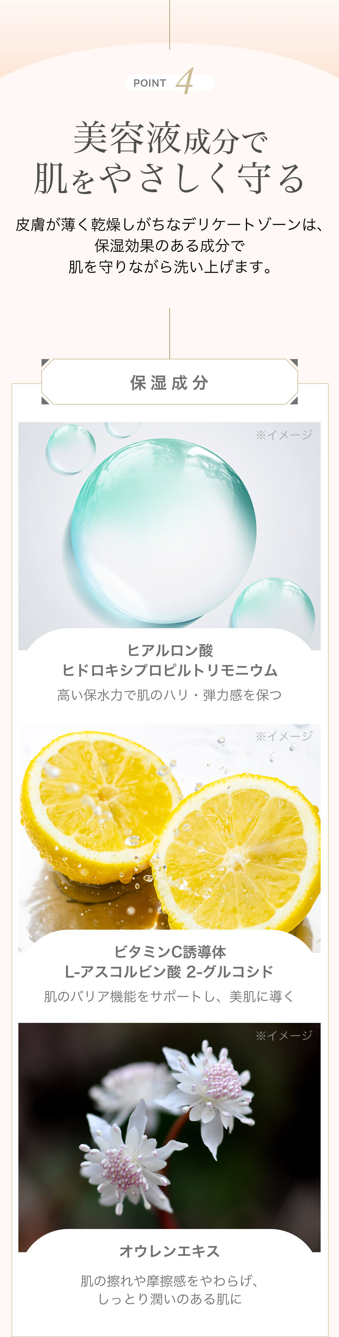 POINT4 美容液成分で肌をやさしく守る 皮膚が薄く乾燥しがちなデリケートゾーンは、保湿効果のある成分で肌を守りながら洗い上げます。 保湿成分※イメージ ヒアルロン酸ヒドロキシプロピルトリモニウム 高い保水力で肌のハリ・弾力感を保つ ※イメージ ビタミンC誘導体L‐アスコルビン酸 2‐グルコシド 肌のバリア機能をサポートし、美肌に導く ※イメージ オウレンエキス 肌の擦れや摩擦感をやわらげ、しっとり潤いのある肌に