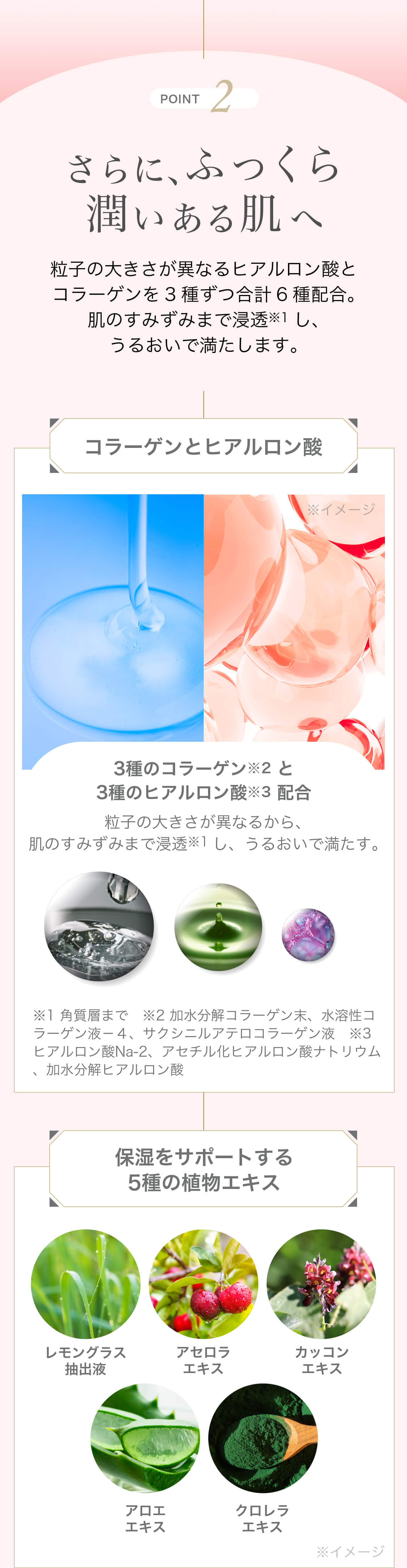 POINT2 さらに、ふっくら潤いある肌へ 粒子の大きさが異なるヒアルロン酸とコラーゲンを3種ずつ合計6種配合。肌のすみずみまで浸透※1し、うるおいで満たします。 コラーゲンとヒアルロン酸 ※イメージ 3種のコラーゲン※2 と3種のヒアルロン酸※3 配合 粒子の大きさが異なるから、肌のすみずみまで浸透※1し、うるおいで満たす。 ※1 角質層まで ※2 加水分解コラーゲン末、水溶性コラーゲン液‐4、サクシニルアテロコラーゲン液 ※3 ヒアルロン酸Na‐2、アセチル化ヒアルロン酸ナトリウム、加水分解ヒアルロン酸 保湿をサポートする5種の植物エキス ※イメージ レモングラス抽出液 アセロラエキス カッコンエキス アロエエキス クロレラエキス