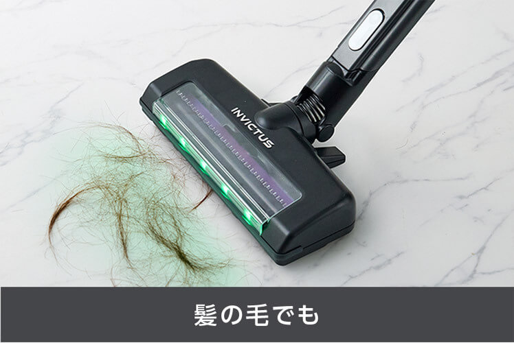 髪の毛でも