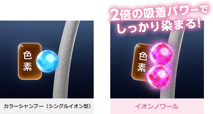 カラーシャンプー(シングルイオン型)イオンノワール 2倍の吸着パワーでしっかり染まる!