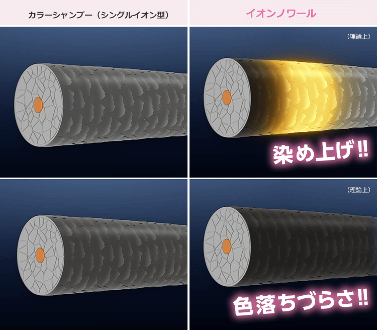 カラーシャンプー(シングルイオン型) イオンノワール (理論上) 染め上げ!! (理論上) 色落ちづらさ!!