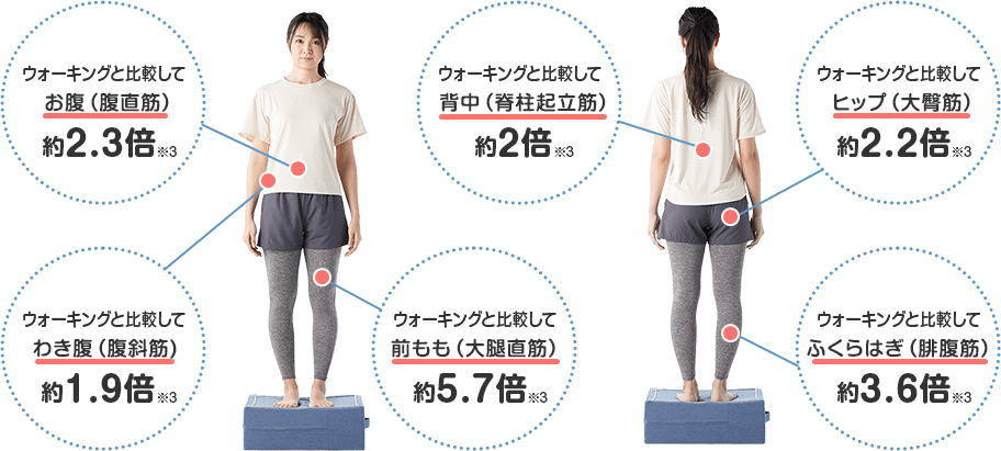 ウォーキングと比較してお腹（腹直筋）約2.3倍※3 ウォーキングと比較してわき腹（腹斜筋）約1.9倍※3 ウォーキングと比較して前もも（大腿直筋）約5.7倍※3 ウォーキングと比較して背中（脊柱起立筋）約2倍※3 ウォーキングと比較してヒップ（大臀筋）約2.2倍※3 ウォーキングと比較してふくらはぎ（腓腹筋）約3.6倍※3