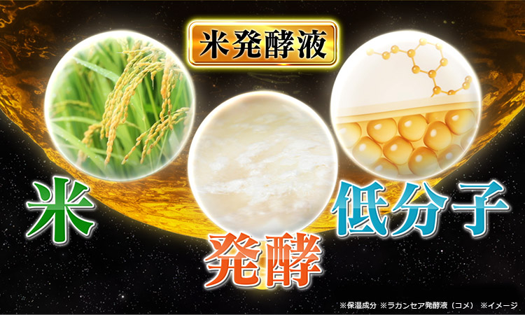 米発酵液 米 発酵 低分子 ※保湿成分 ※ラカンセア発酵液（コメ） ※イメージ