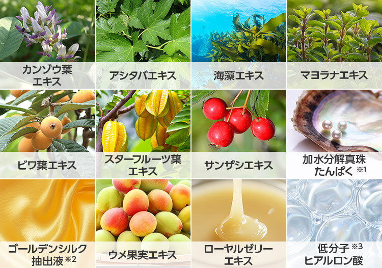 カンゾウ葉エキス アシタバエキス 海藻エキス マヨラナエキス ビワ葉エキス スターフルーツ葉エキス サンザシエキス 加水分解真珠たんぱく※1 ゴールデンシルク抽出液※2 ウメ果実エキス ローヤルゼリーエキス 低分子※3 ヒアルロン酸