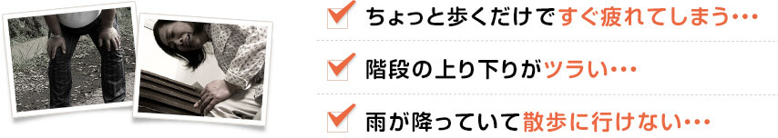 ちょっと歩くだけですぐ疲れてしまう・・・ 階段の上り下りがツラい・・・ 雨が降っていて散歩に行けない・・・