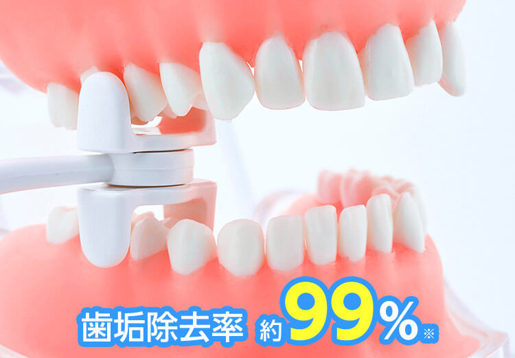 歯垢除去率約99%※