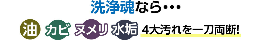 洗浄魂なら・・・ 油 カビ ヌメリ 水垢 4大汚れを一刀両断！