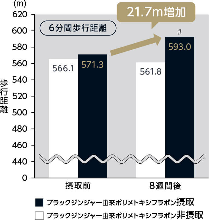 歩行距離 摂取前 ブラックジンジャー由来ポリメトキシフラボン非摂取566.1 ブラックジンジャー由来ポリメトキシフラボン摂取571.3 8週間後 ブラックジンジャー由来ポリメトキシフラボン非摂取561.8 ブラックジンジャー由来ポリメトキシフラボン摂取593.0 単位:(m) 21.7m増加