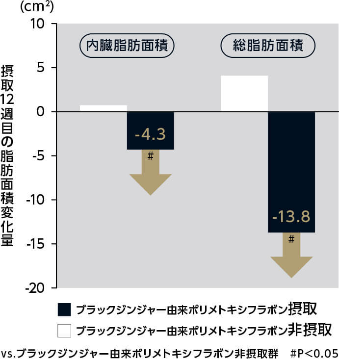 摂取12週目の脂肪面積変化量 内臓脂肪面積-4.3 総脂肪面積-13.8 VS.ブラックジンジャー由来ポリメトキシフラボン非摂取群 #P<0.05