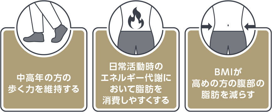 中高年の方の歩く力を維持する 日常活動時のエネルギー代謝において脂肪を消費しやすくする BMIが高めの方の腹部の脂肪を減らす