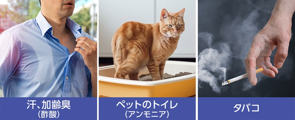汗、加齢臭(酢酸) ペットのトイレ(アンモニア) タバコ