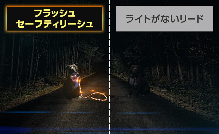 フラッシュセーフティリーシュ ライトがないリード
