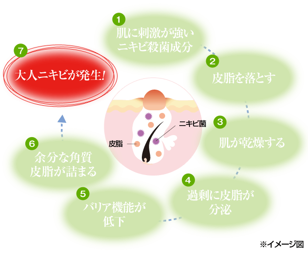 (1)肌に刺激が強いニキビ殺菌成分 (2)皮脂を落とす (3)肌が乾燥する (4)過剰に皮脂が分泌 (5)バリア機能が低下 (6)余分な角質皮脂が詰まる (7)大人ニキビが発生!