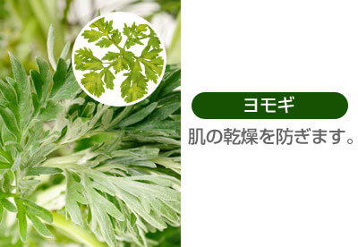肌の乾燥を防ぎます。