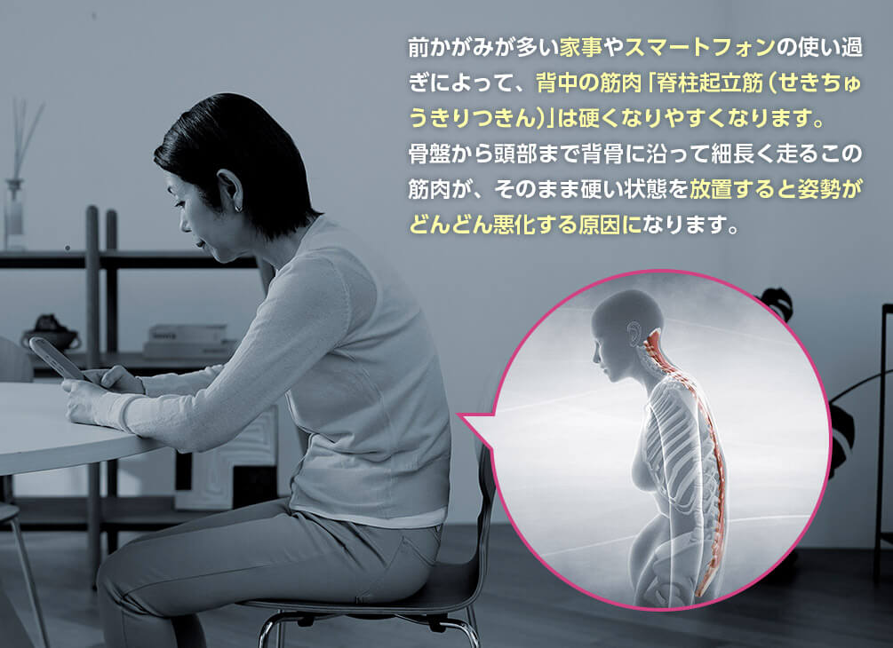 前かがみが多い家事やスマートフォンの使い過ぎによって、背中の筋肉「脊柱起立筋（せきちゅうきりつきん）」は硬くなりやすくなります。 骨盤から頭部まで背骨に沿って細長く走るこの筋肉が、そのまま硬い状態を放置すると姿勢がどんどん悪化する原因になります。