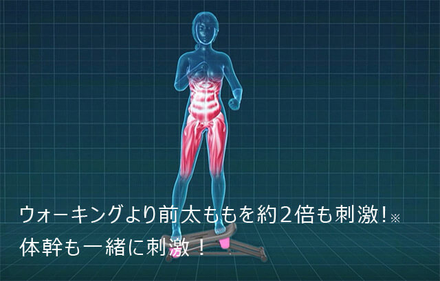 ウォーキングより前太ももを約2倍も刺激!※ 体幹も一緒に刺激!