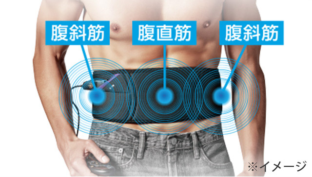 腹斜筋 腹直筋 腹斜筋 ※イメージ