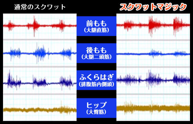 通常のスクワット スクワットマジック 前もも(大腿直筋) 後ろもも(大腿二頭筋) ふくらはぎ(排腹筋内側頭) ヒップ(大臀筋)