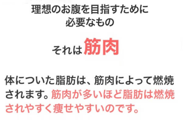 理想のお腹を目指すために必要なもの それは筋肉 体についた脂肪は、筋肉によって燃焼されます。筋肉が多いほど脂肪は燃焼されやすく痩せやすいのです。